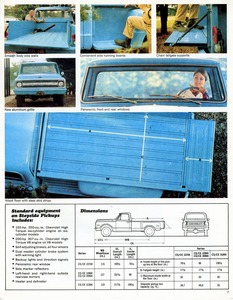 1969 Chevrolet Pickups-07.jpg